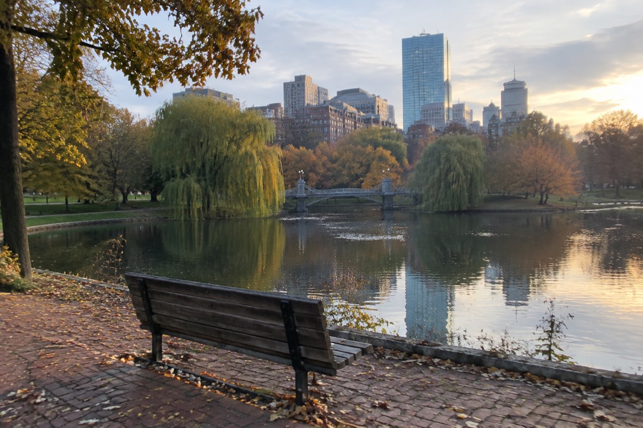 Empty bench beside a park lagoon under golden autumn light with city skyline behind