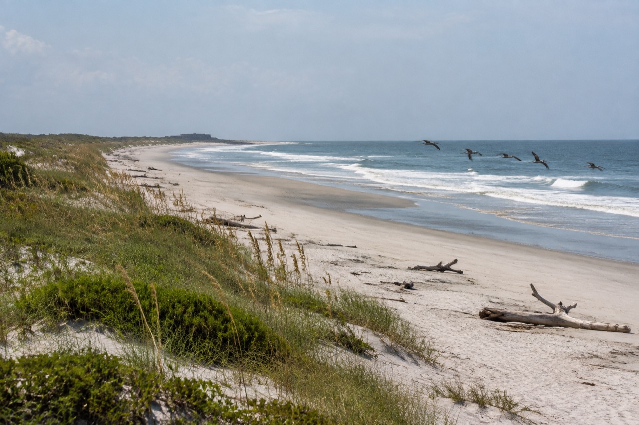 Sandy beach with dunes, sea oats and gentle surf at Fort Fisher, late morning.