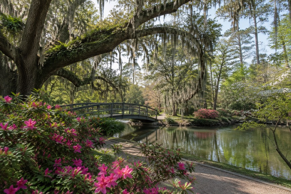 Airlie Gardens, Wilmington