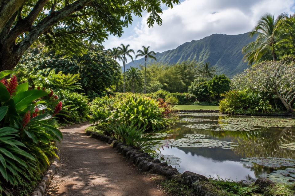 Allerton Garden (Allerton Estate), Koloa