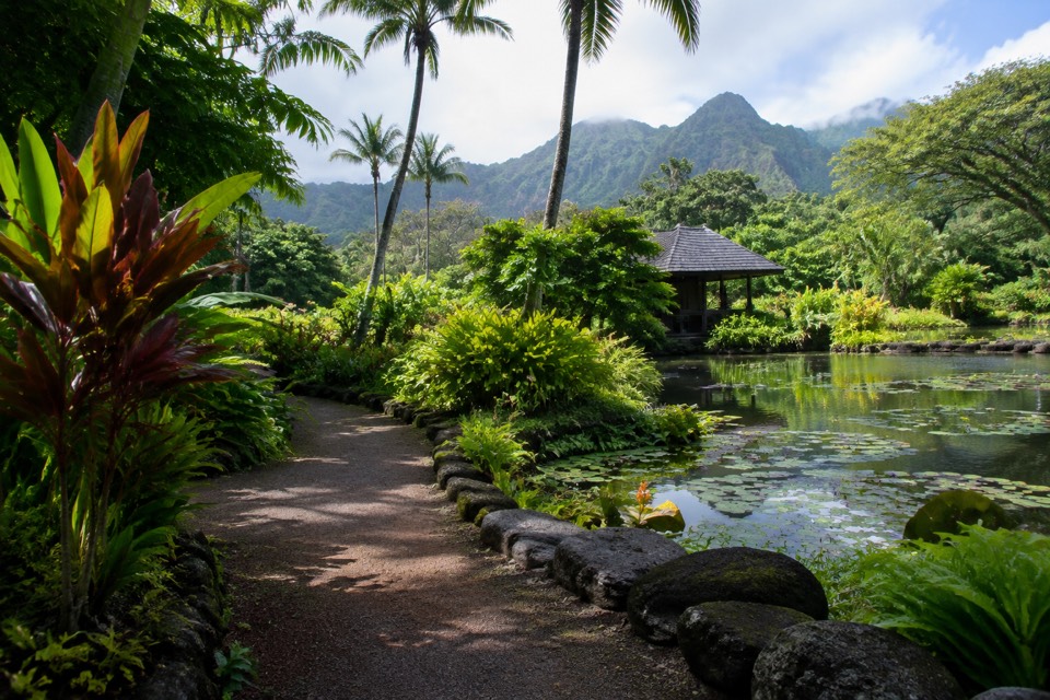 Allerton Garden, Koloa