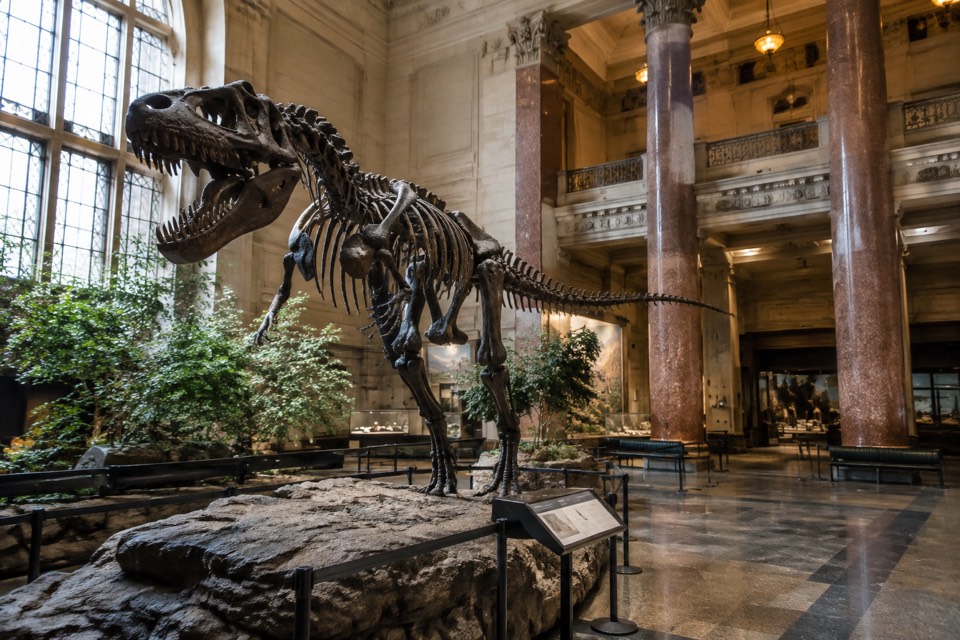 American Museum of Natural History, New York City