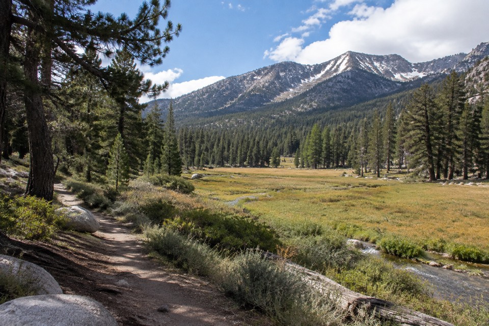 Barton Flats, San Bernardino Mountains