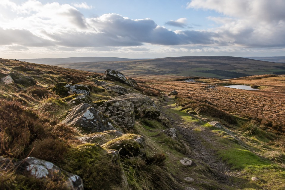 Bodmin Moor, Bodmin