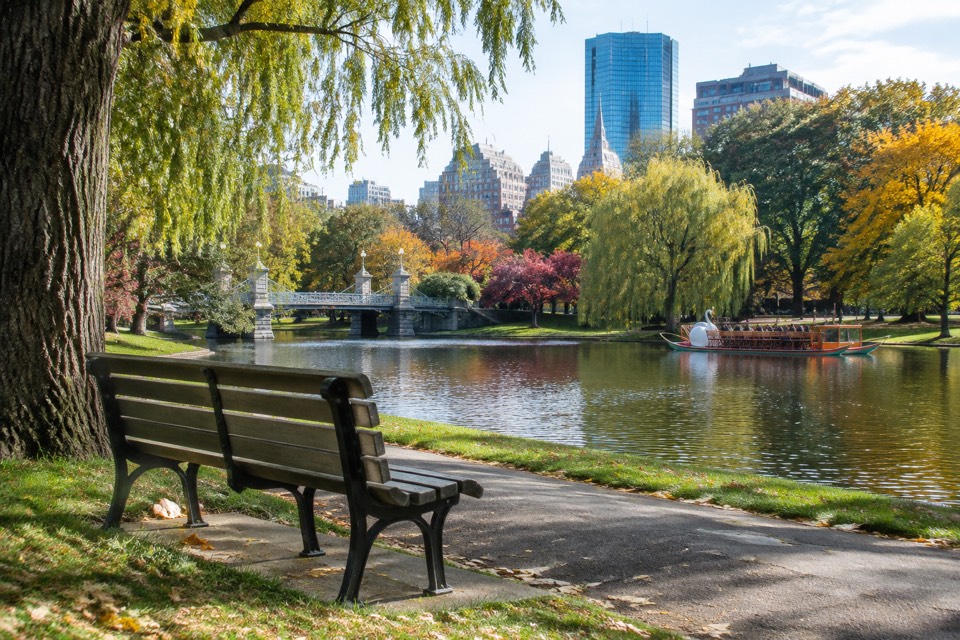 Boston Public Garden bench, Boston
