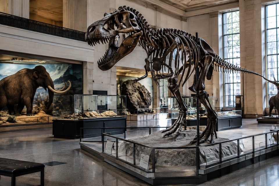 Carnegie Museum of Natural History, Pittsburgh