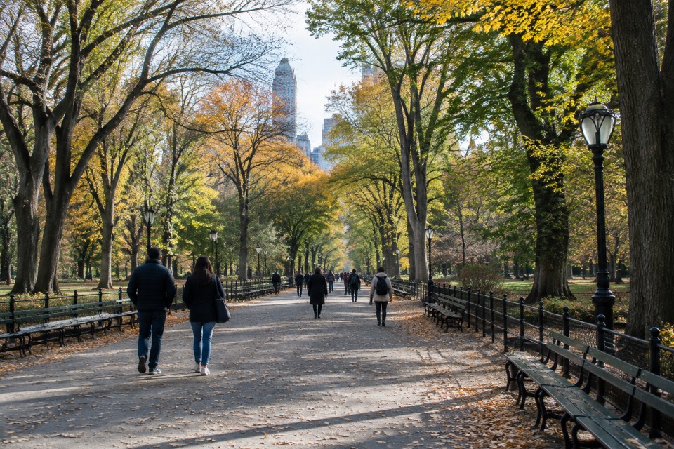 Central Park Mall, New York City