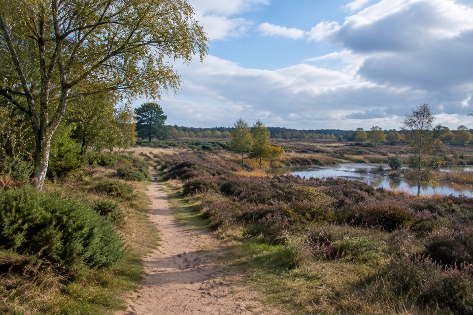 Chobham Common, Chobham