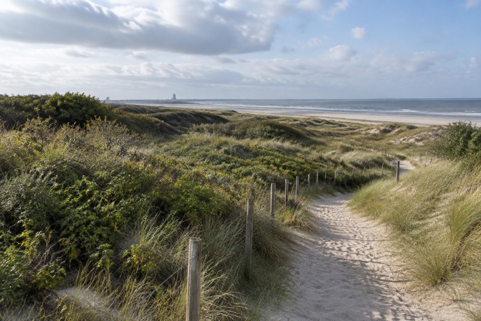 Dune Dewulf (Réserve Naturelle), Leffrinckoucke
