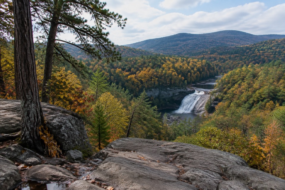 DuPont State Forest (general arena areas), Cedar Mountain