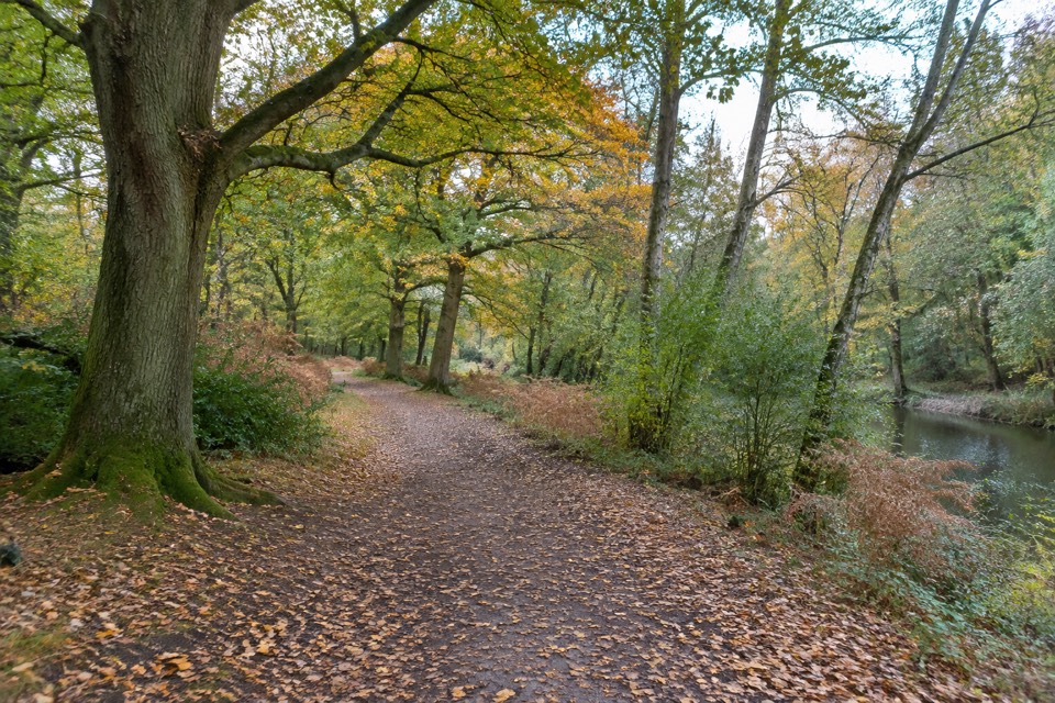 Epping Forest, Epping