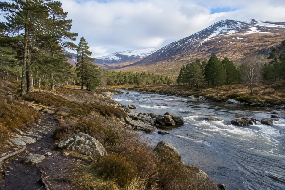 Glen Feshie / Cairngorms, Aviemore