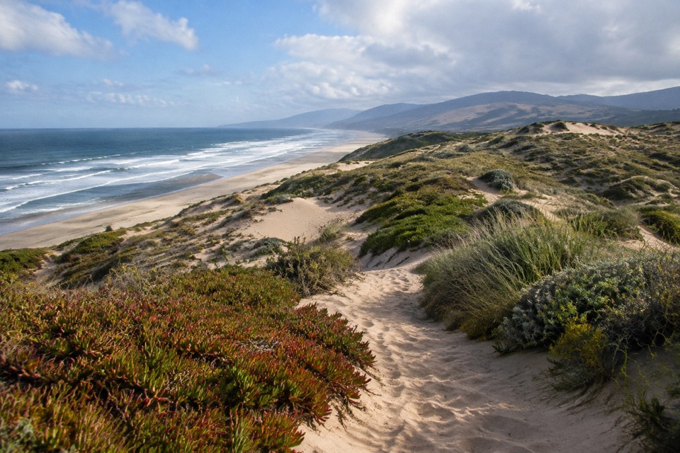 Guadalupe-Nipomo Dunes, Guadalupe
