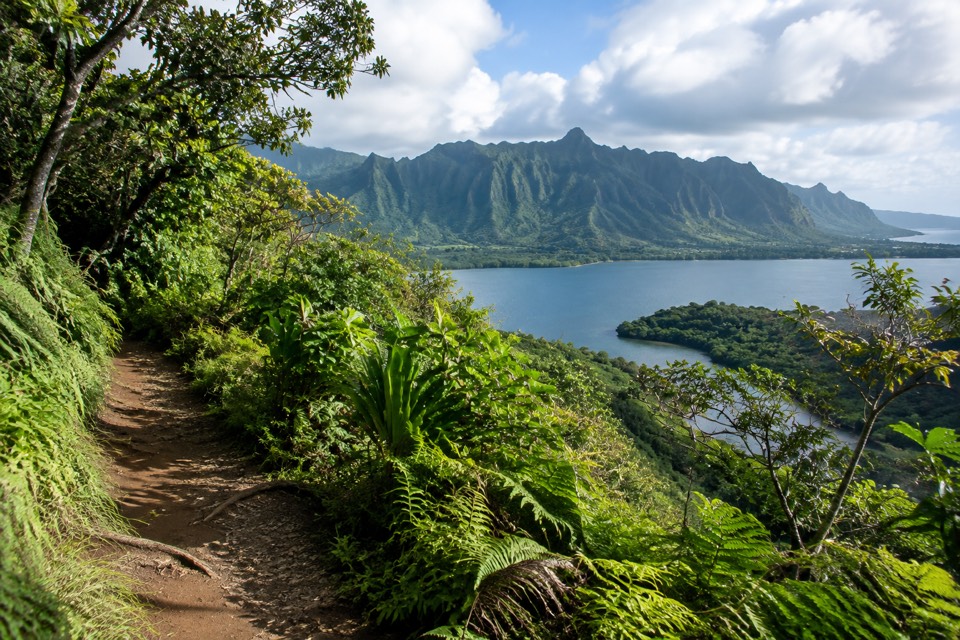 Heʻeia State Park / Heeia Kea Jungle, Kaneohe