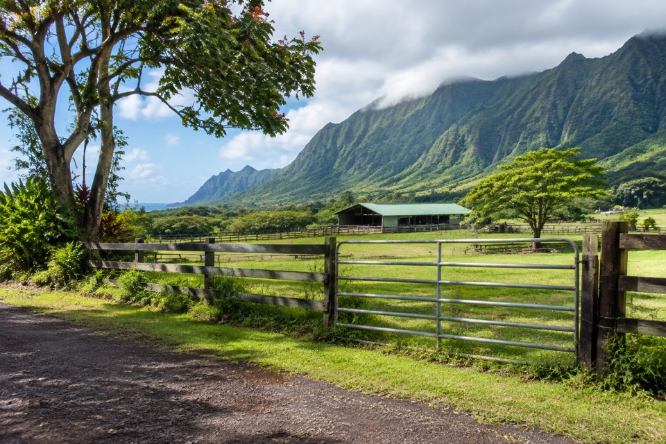 Jurassic Kahili Ranch, Kilauea