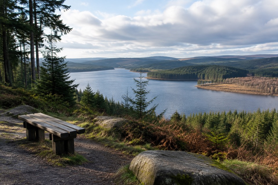 Kielder Forest, Kielder