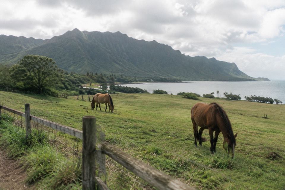 Kualoa Ranch, Kaneohe
