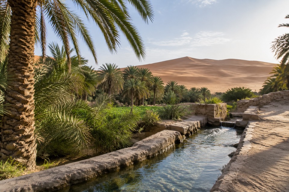 Liwa Oasis, Liwa
