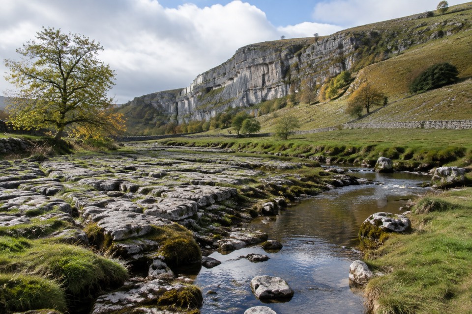 Malham Lings, Malham