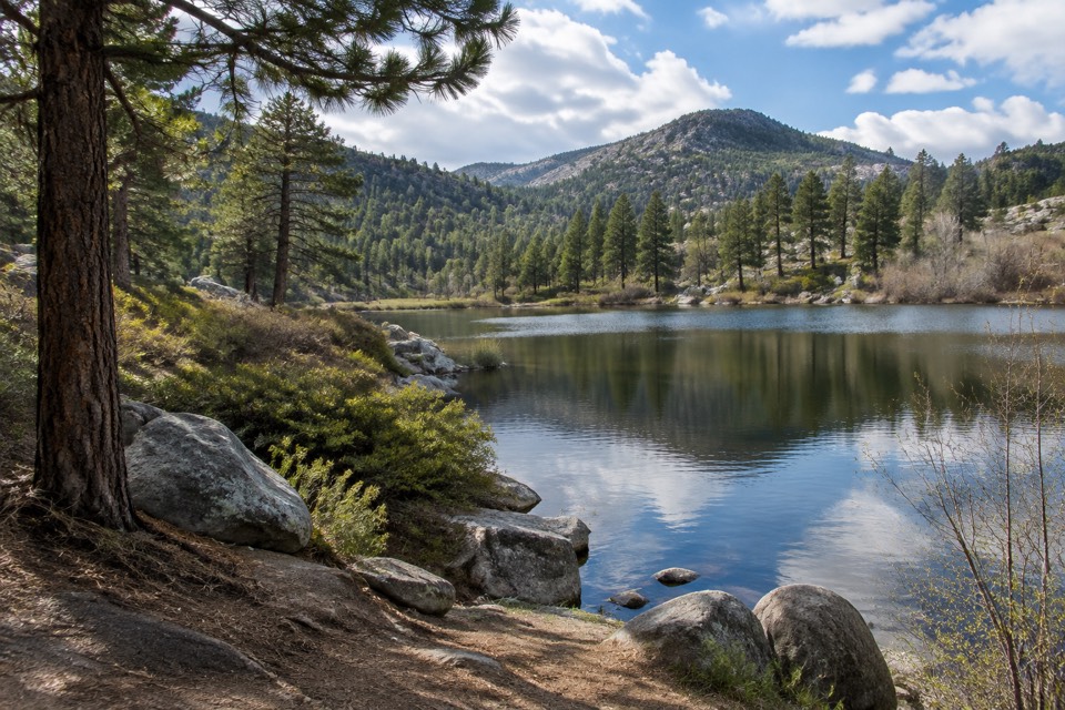 Mountain Home State Forest / Hendrick Pond, Porterville
