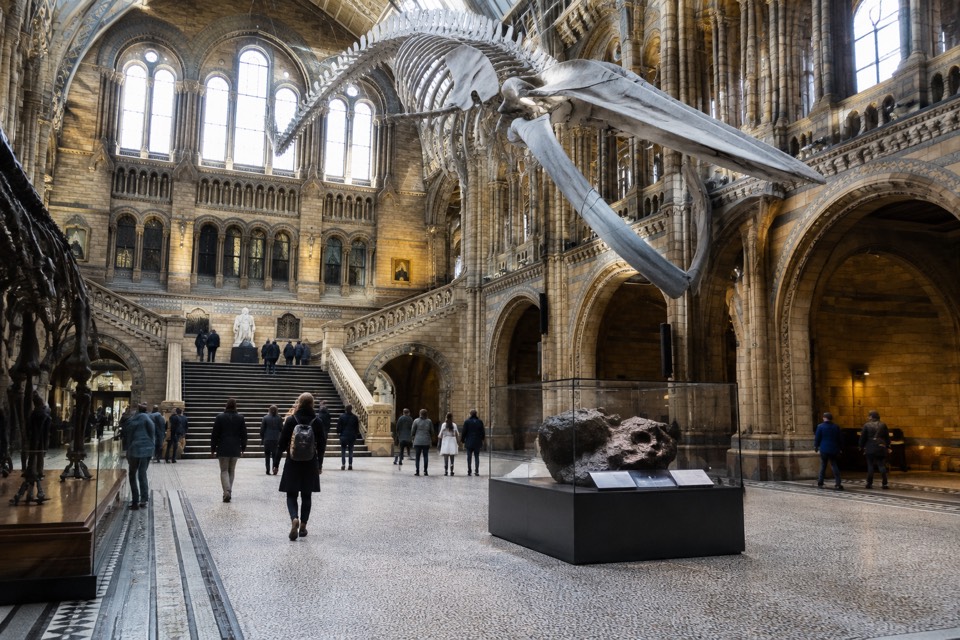 Natural History Museum, London