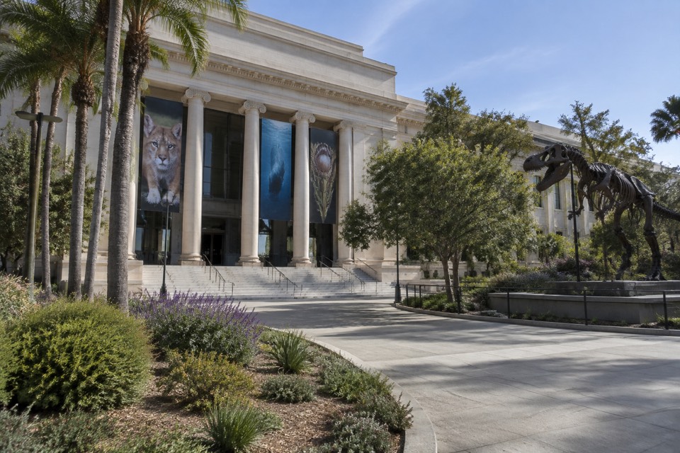 Natural History Museum of Los Angeles County, Los Angeles