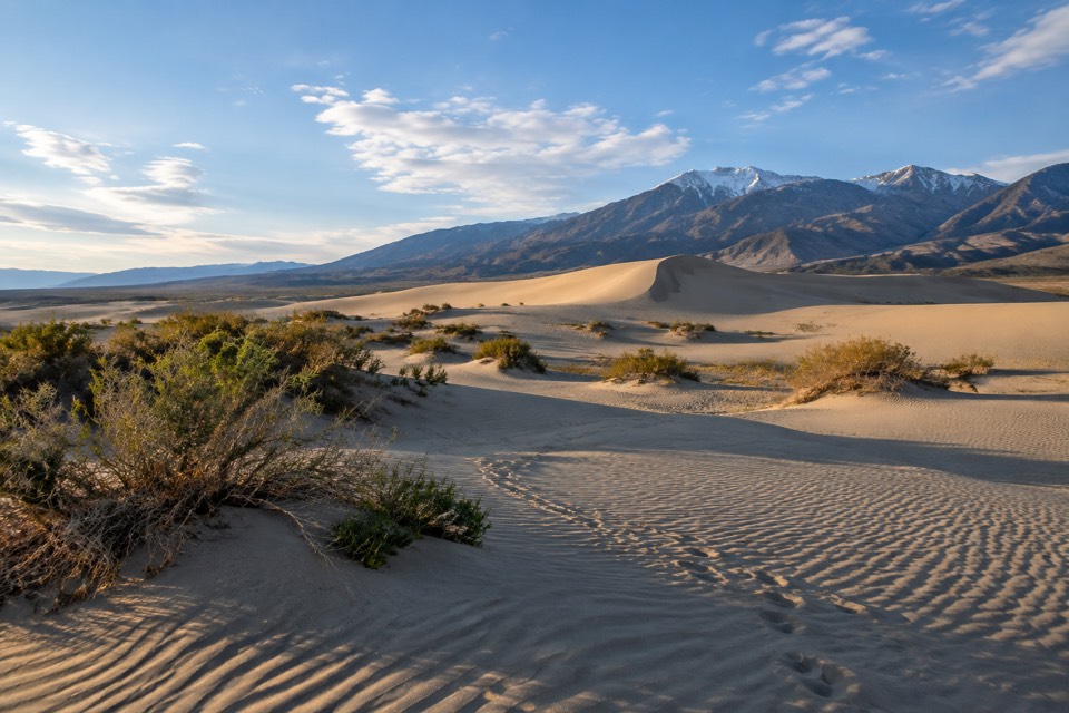 Olancha Sand Dunes, Olancha