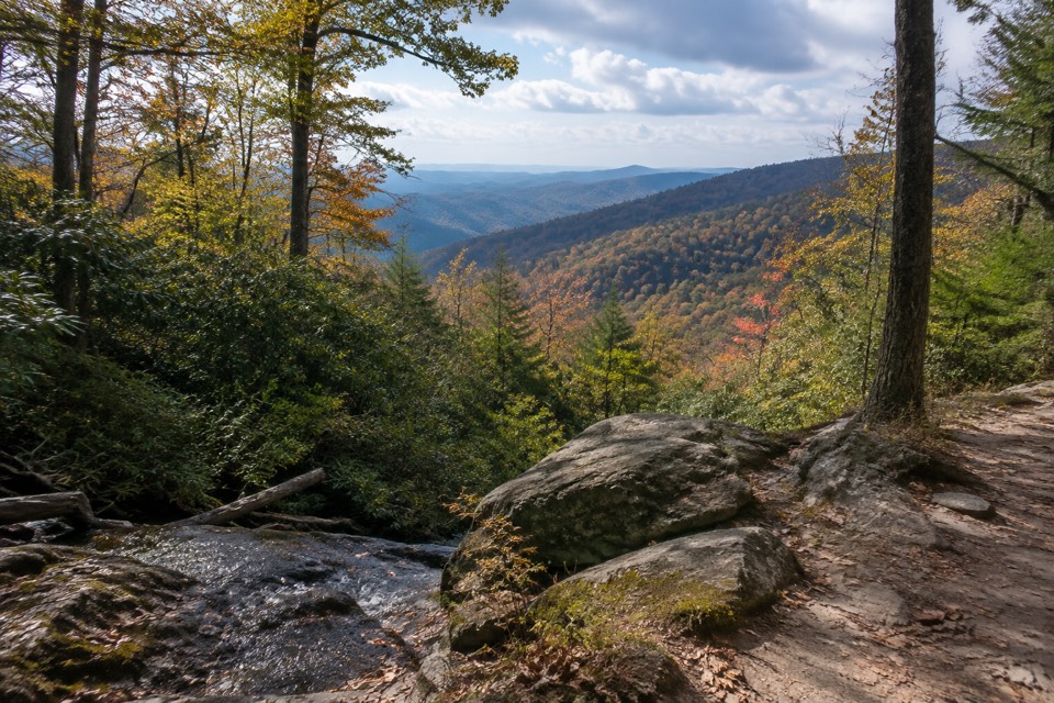 Pisgah National Forest (Big Ivy / Coleman Boundary), Barnardsville
