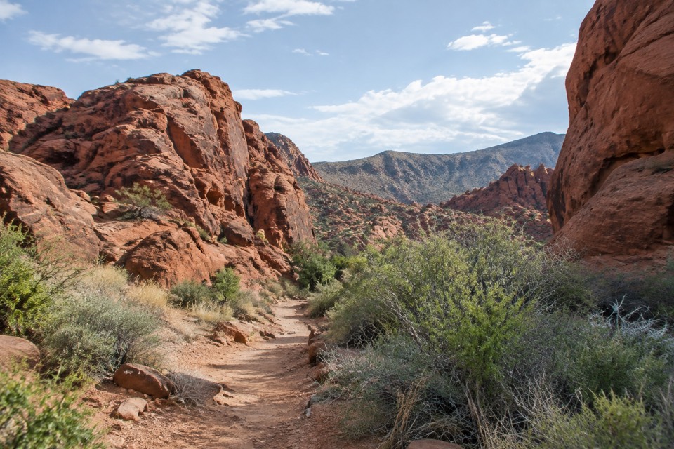 Red Rock Canyon State Park, Cantil