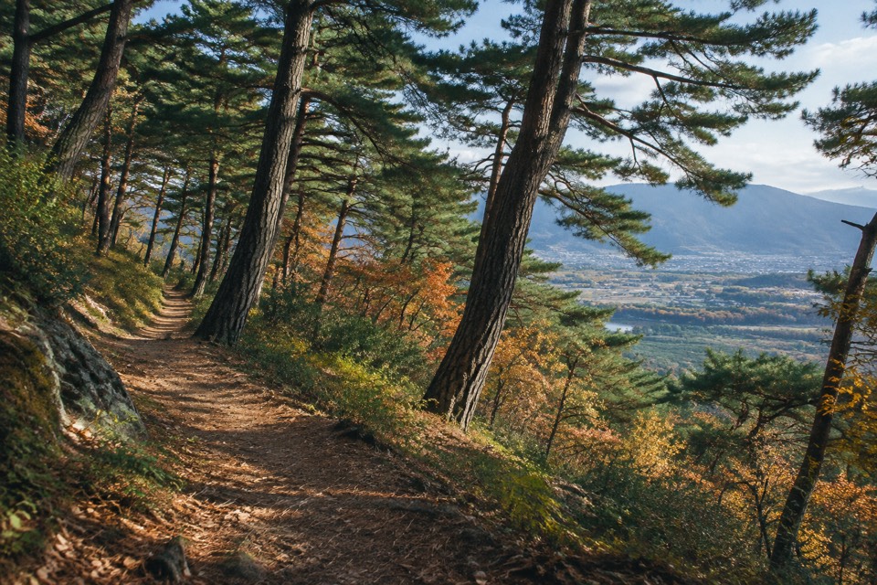 Samneung Forest (Mount Nam slopes), Gyeongju