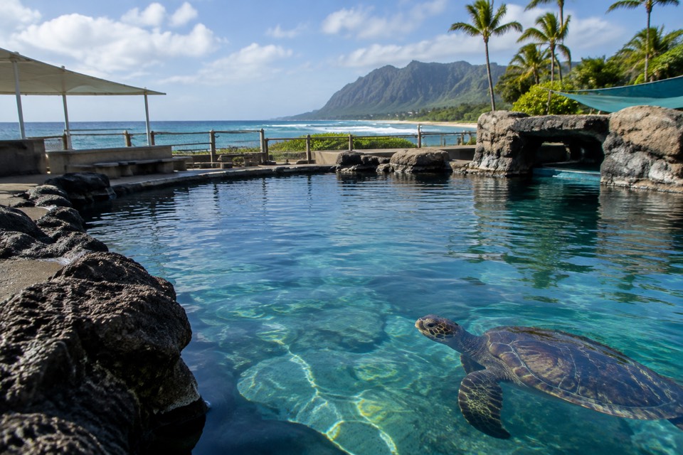 Sea Life Park, Waimanalo