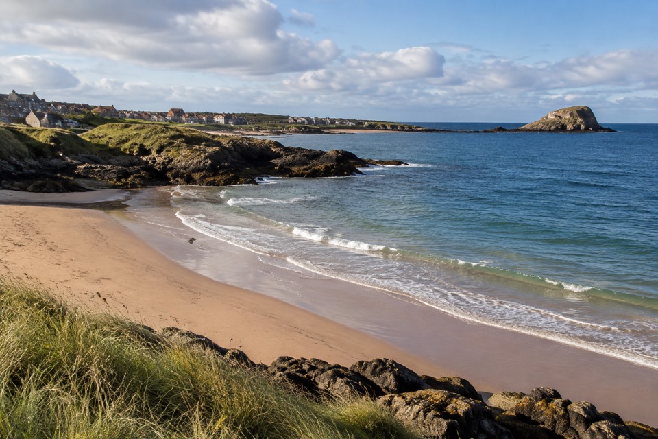 Seacliff Beach / Oxroad Bay, North Berwick