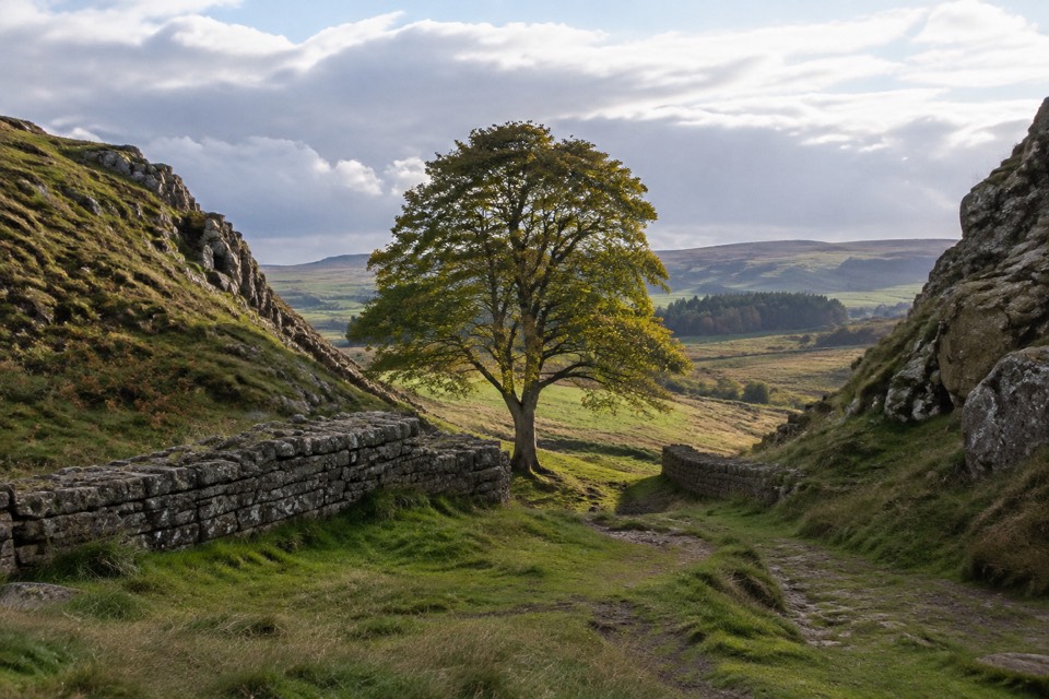 Sycamore Gap, near Hexham