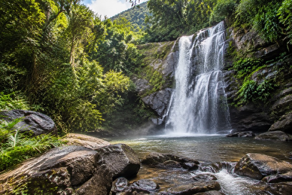 Tijuca Forest / Taunay Waterfall, Rio de Janeiro