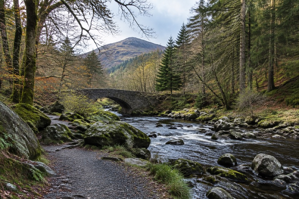 Tollymore Forest Park, Bryansford