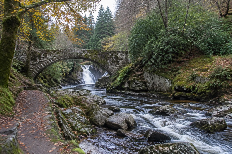 Tollymore Forest Park, Newcastle