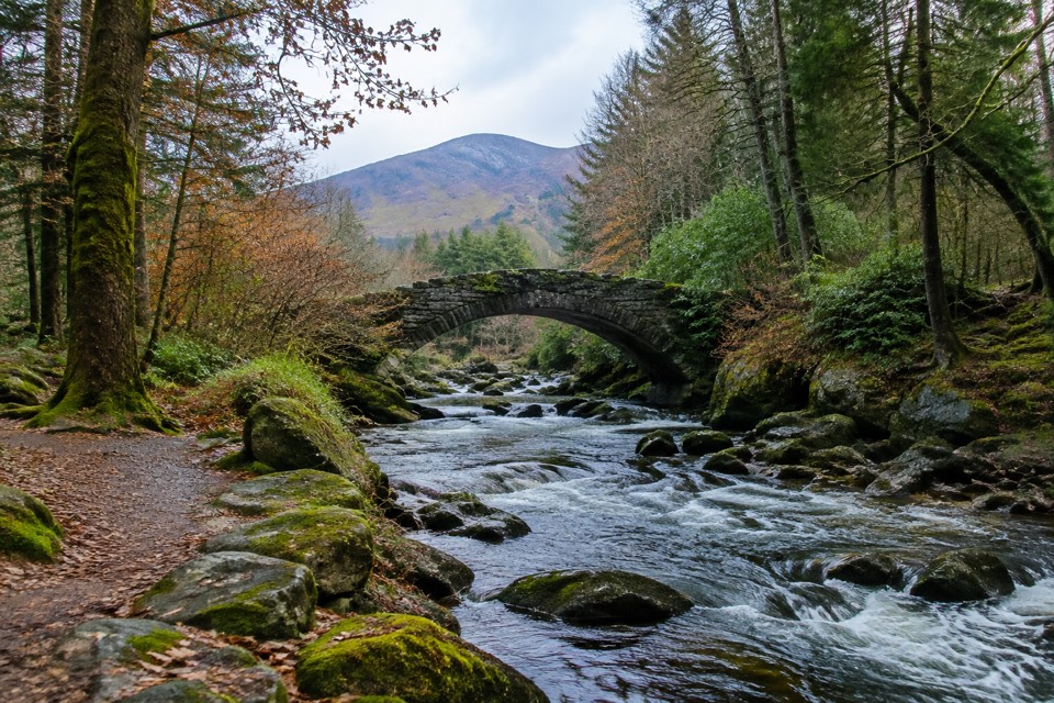 Tollymore Forest Park, Newcastle