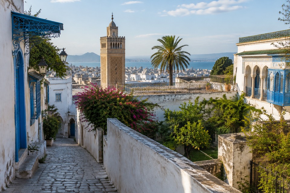 Tunis Medina and villas, Tunis