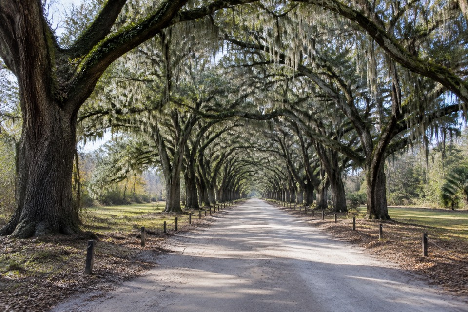 Wormsloe Historic Site, Savannah