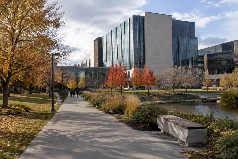 York University, Toronto
