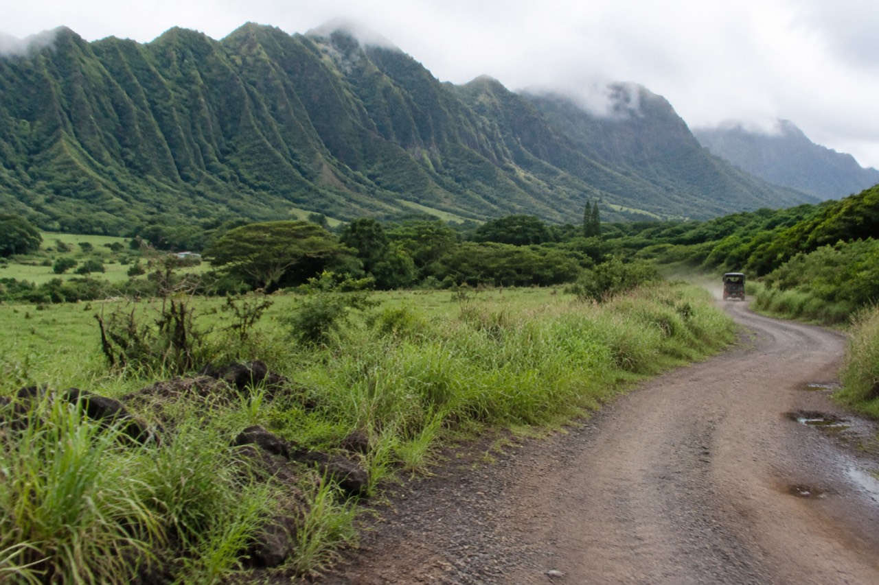 Green Hawaiian valley under misty fluted mountain ridges with a winding dirt trail
