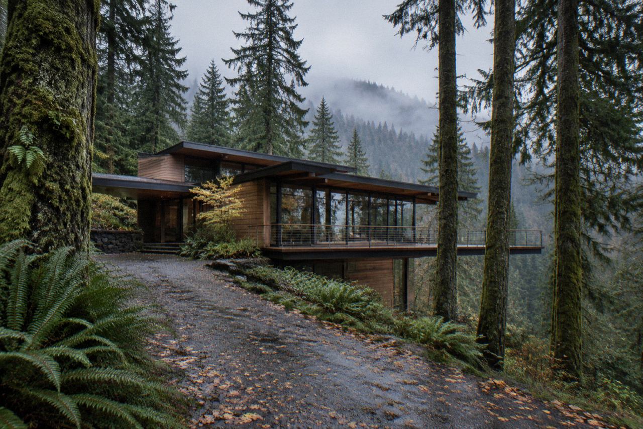 Modern wood and glass house among tall evergreen trees under grey overcast sky
